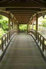 wooden bridge