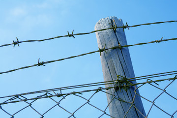 barbed wire fence