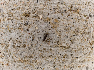 macro texture - smooth concrete