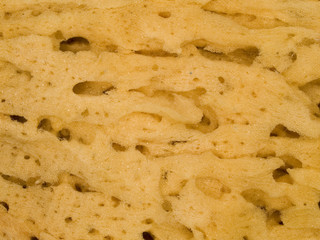 macro texture - household - sponge