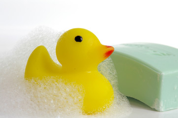 soapy duck