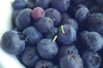 fresh blueberries