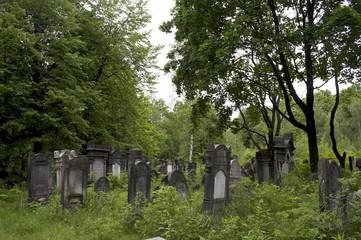 jewish cementary 5