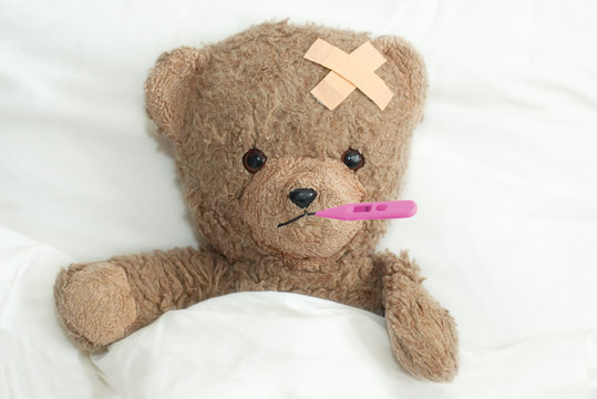 teddy is sick