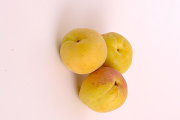 peche 0021