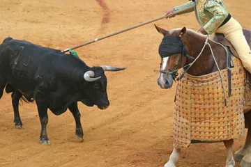 Foto op Plexiglas Stierenvechten stierengevecht