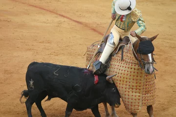 Printed kitchen splashbacks Bullfighting bullfighting in seville