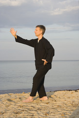 tai chi - posture step back dispatch monkey