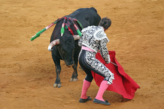 bullfighting in sevilla