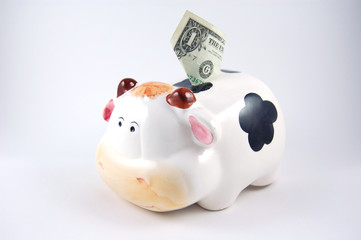 cow piggy bank
