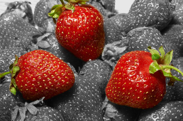 three red strawberries on monochrome background