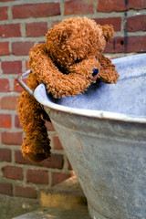 little teddybear climbing