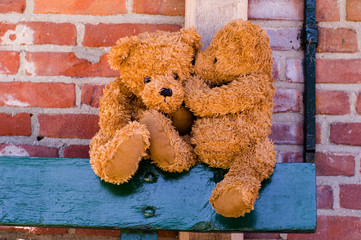 cute teddybears sharing a secret