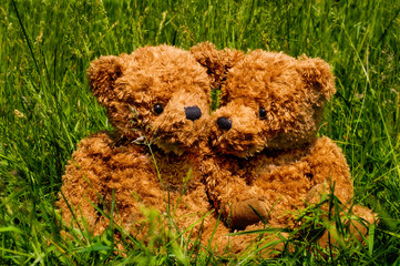 teddybear couple sitting in the grass