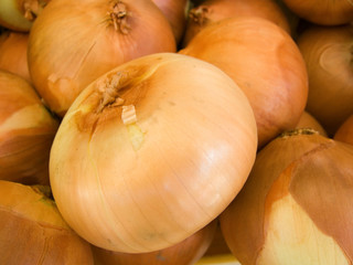gemüse zwiebeln