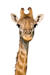Papier Peint photo autocollant Girafe girafe masaï