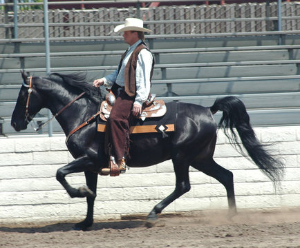 Cowboy & Walking Horse