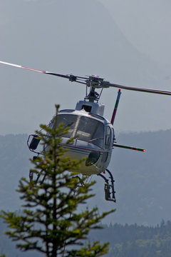 hélicoptère en vol