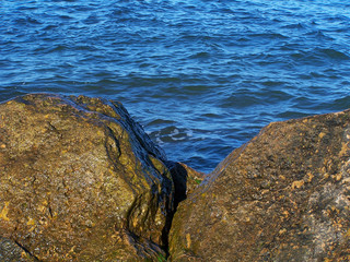 Fototapeta na wymiar the sea and stones
