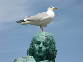 mouette sur statue