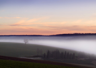 abendnebel 01