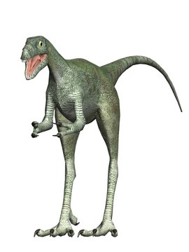 velociraptus the dinosaur