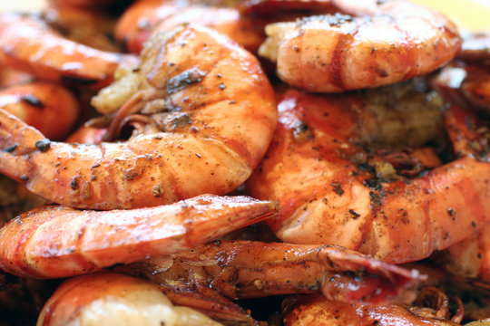 scampi