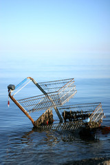 shopping cart