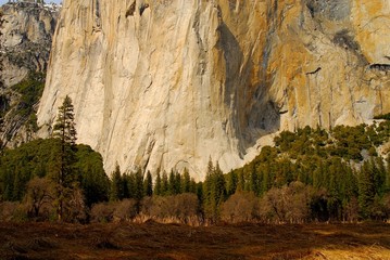 el capitan four