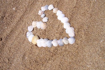 seashell heart on the beach