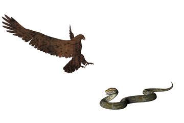 Naklejka premium eagle and the snake two
