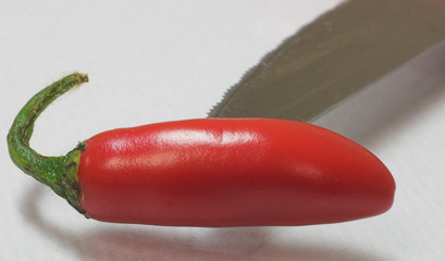 chili knife