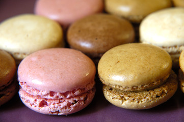 macaron