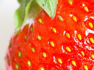 strawberry in closeup