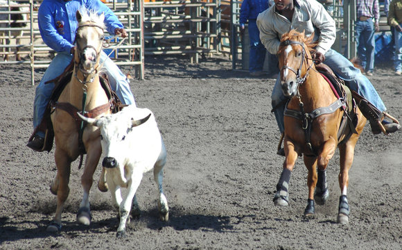 Steer Wrestlers