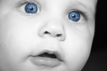 blue eyed wonder