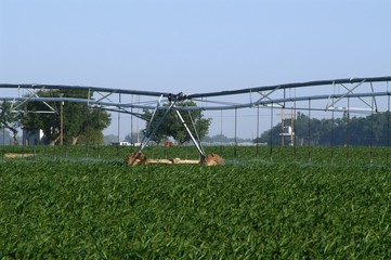Fototapeta na wymiar farm irrigation system
