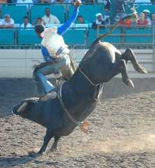 bull throwing rider