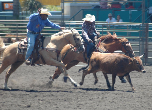 Steer Wrestlers