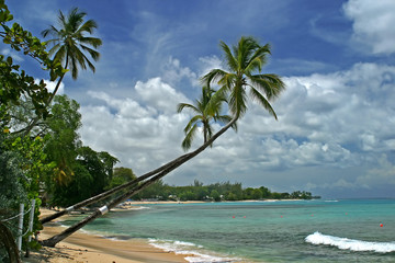 barbados beach