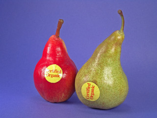 red, green certified organic pears