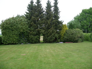 wunderschönes gartenmotiv