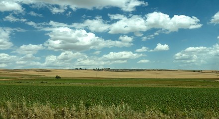 la mancha road4