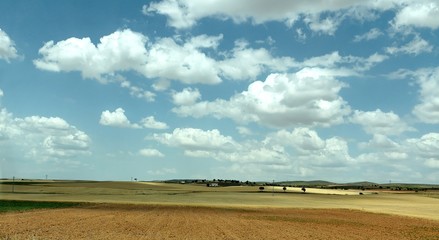 Fototapeta premium la mancha road8
