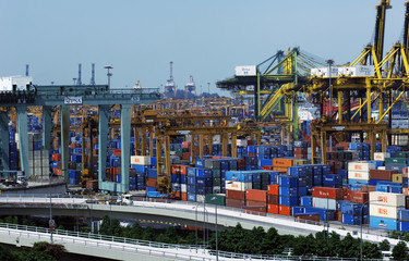 singapore: harbor, containers