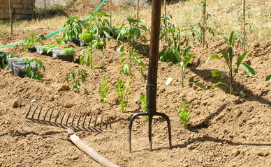 jardinage