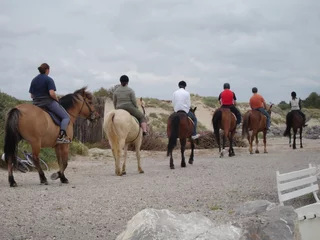 Fotobehang Paardrijden paardrijden