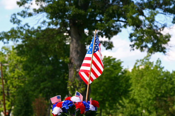 american patriotism - flag and tree 2
