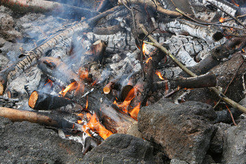 roasting fire