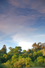 Fototapeta premium spring countryside